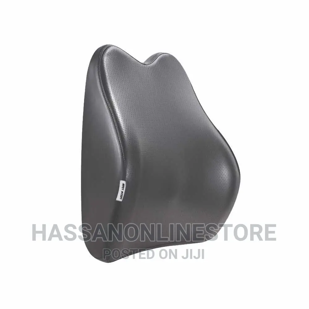 Green Lion Car Seat Back Cusion