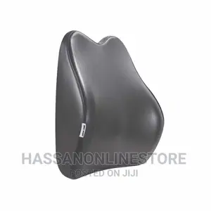 Green Lion Car Seat Back Cusion