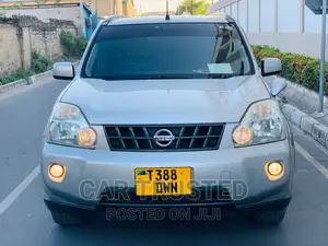 Nissan X-Trail 2.0 Comfort 2007 Silver