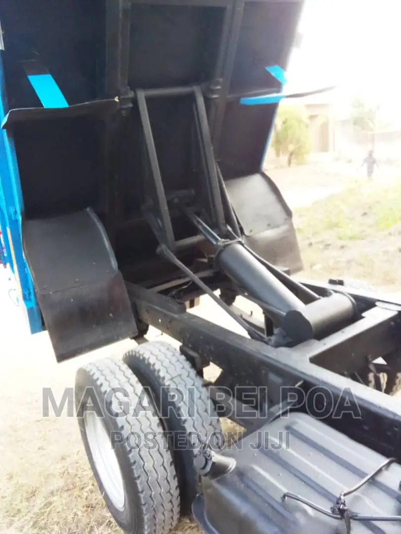 Canter Tiper Kalii