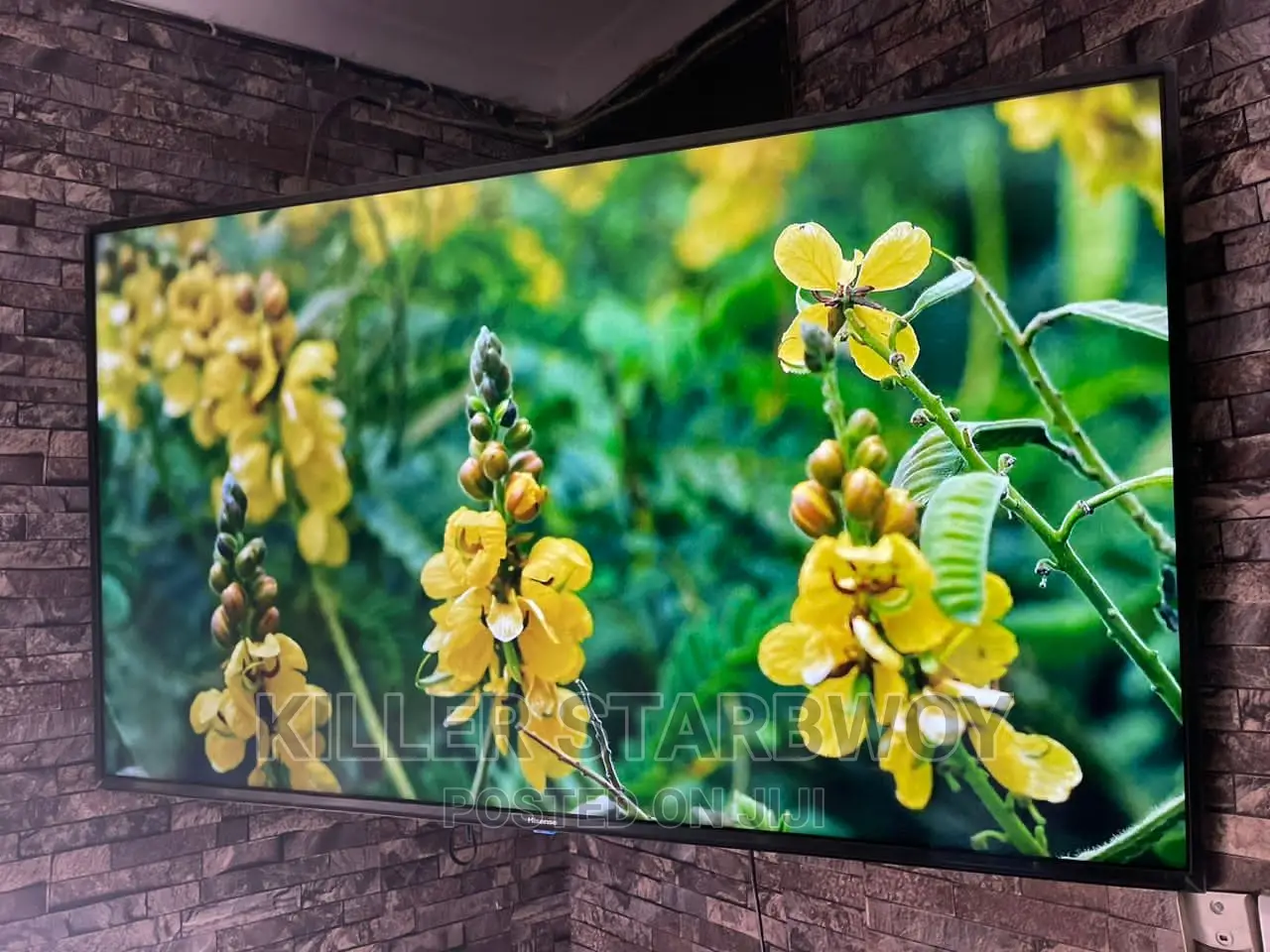 Hisense Inch 55 Smary 