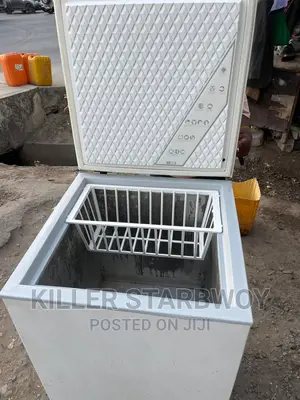 Freezer Lita 105