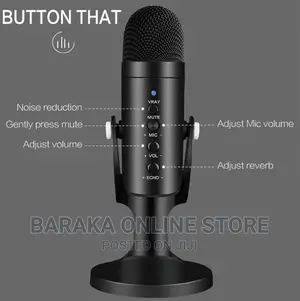 USB Condenser Microphone