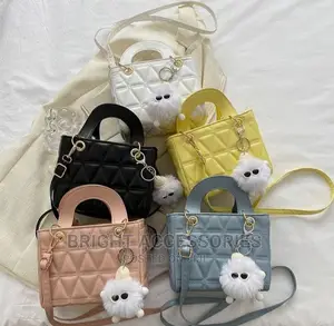Handbags/Pochi