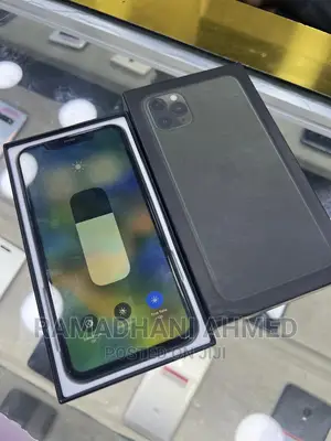 Apple iPhone 11 Pro Max 256 GB Green