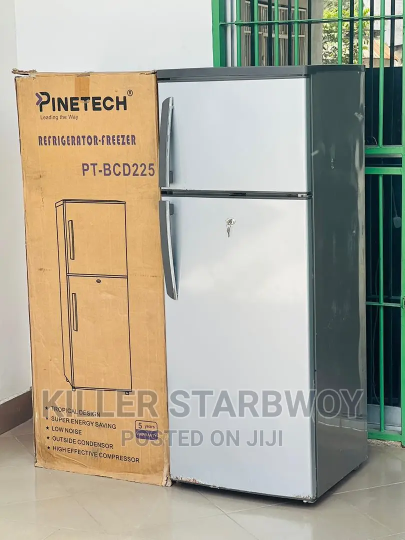 Fridge Pintech Lita 225