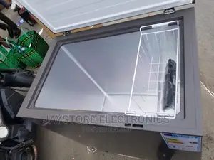 H245CFS Net Capacity 198 Liters (Silver)