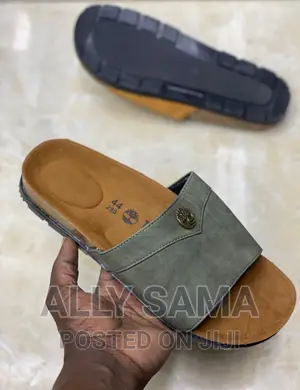 MENS Sandals Timberland Brown