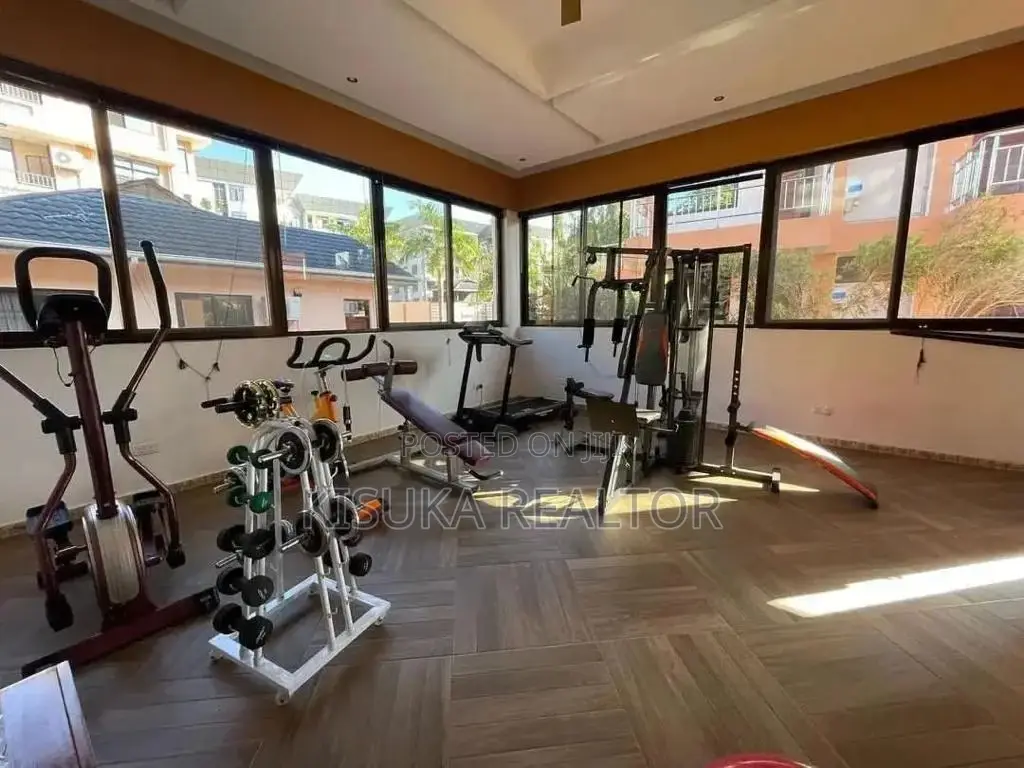 Furnished 2bdrm Apartment in Mikocheni Good Area for rent