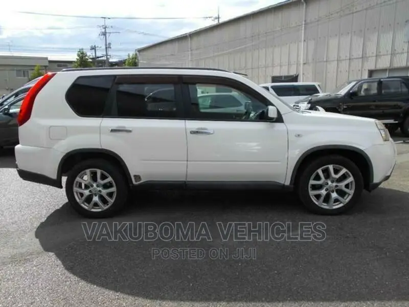 Nissan X-Trail 2010 Pearl