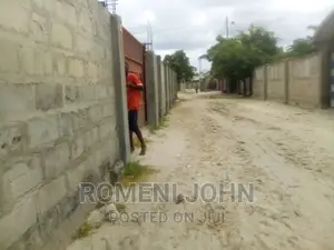 3bdrm House in Tanzania Dsm Ukonga for rent