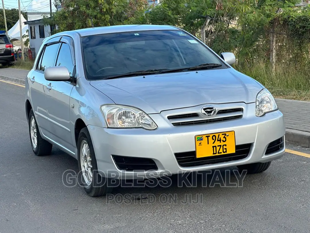 Toyota Corolla RunX 2005 Silver