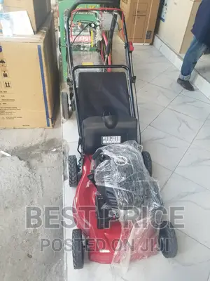 Gasoline Lawn Mower 4 HP