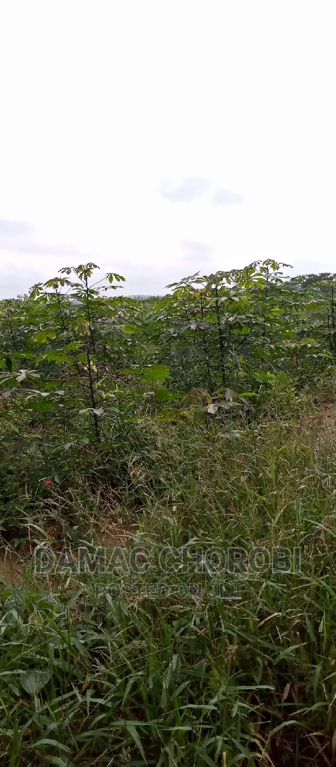 Industrial Plot for Sale Loction Visiga Kibaha