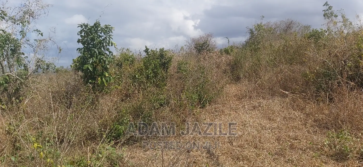 Shamba La Ekari 20 Linauzwa Kiwangwa Bago