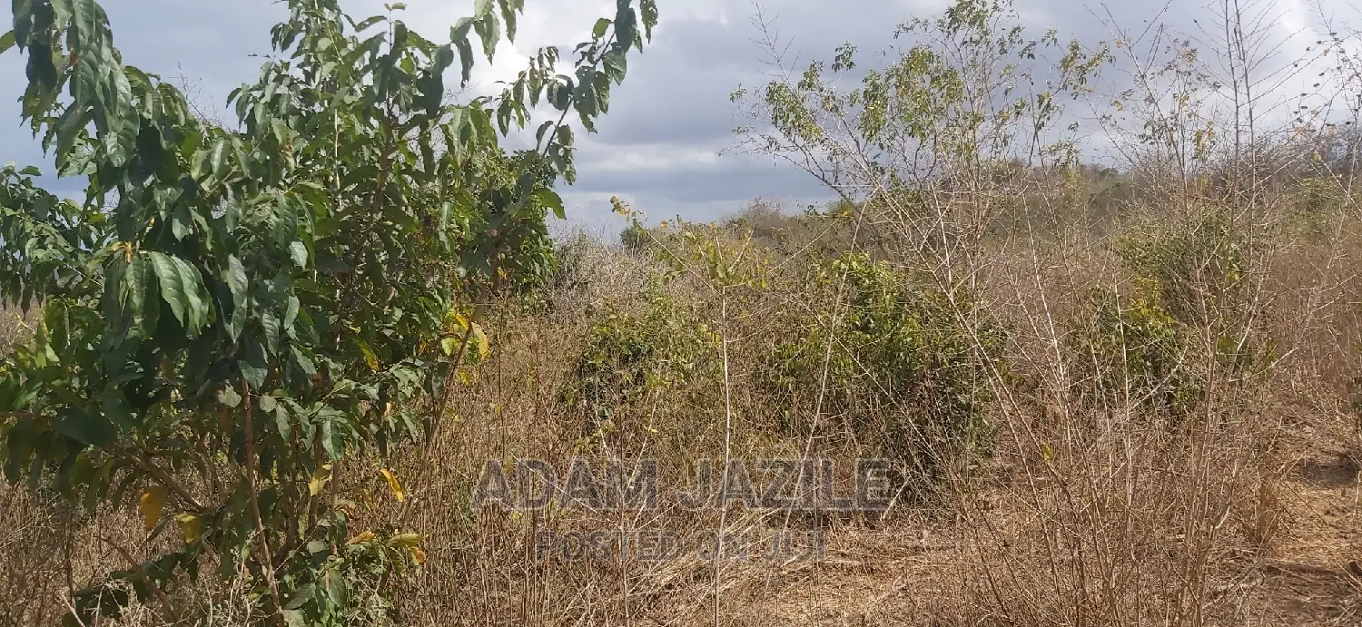 Shamba La Ekari 20 Linauzwa Kiwangwa Bago