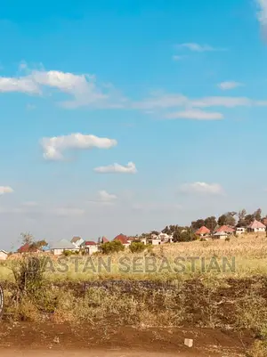 Viwanja Maji Ya Chai, Maroroni, Njia Ya Ng'ombe Na Kikatiti