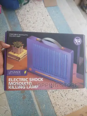 Electric Mosquito Killing Lamp
