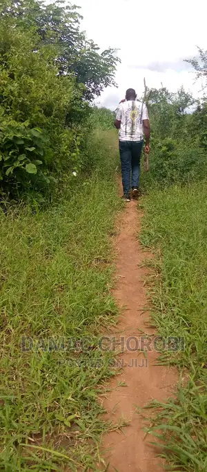 Farm for Sale Location Pangani Tanga