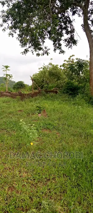 Farm for Sale Location Pangani Tanga