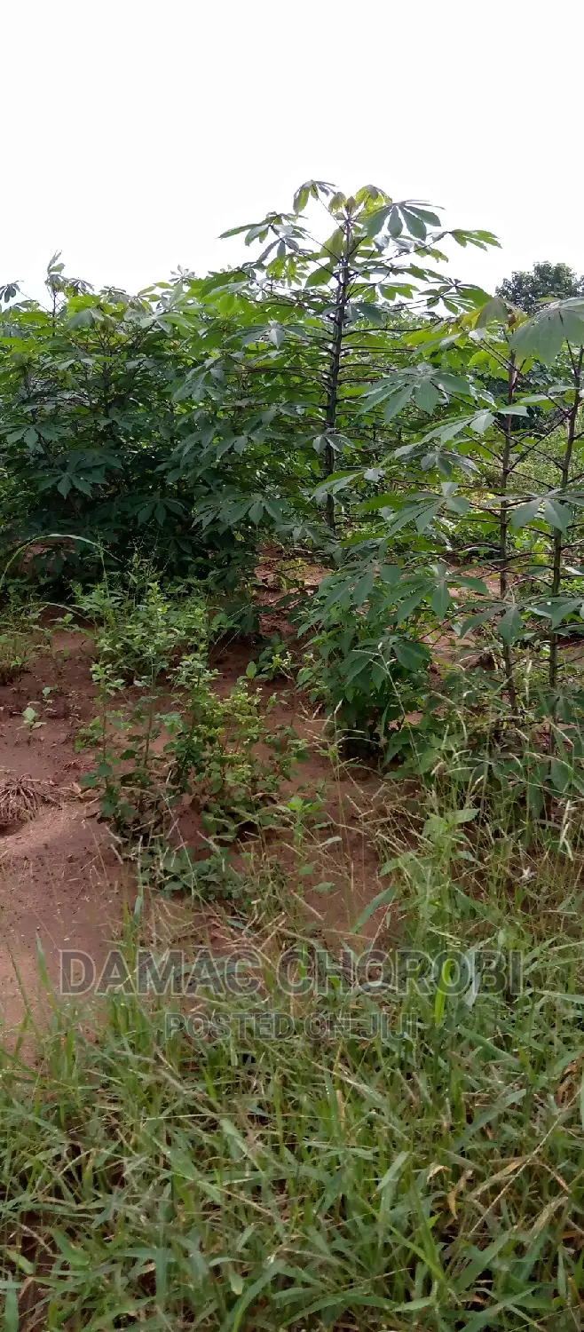 Farm for Sale Location Morogoro