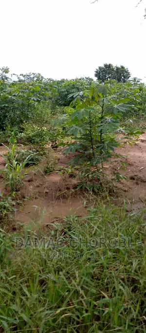 Farm for Sale Location Morogoro