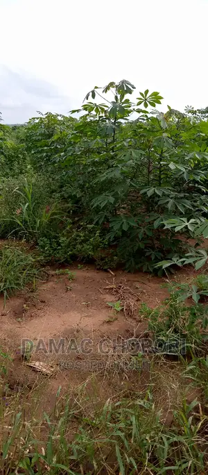 Farm for Sale Location Morogoro