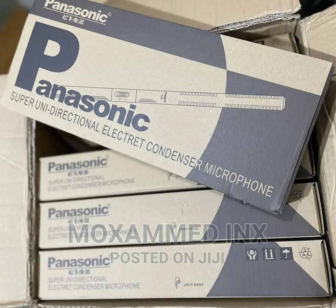 Panasonic Boom Mic