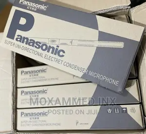 Panasonic Boom Mic