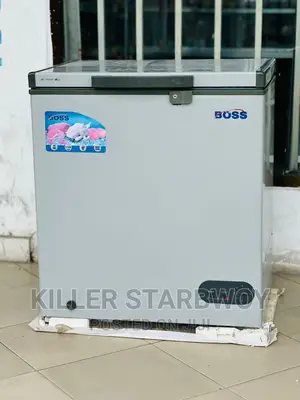 Friza Lita 150 Boss Clean Mno
