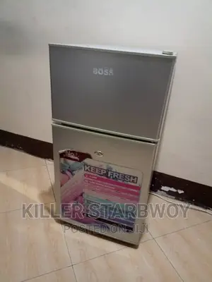 Fridge Lita 53