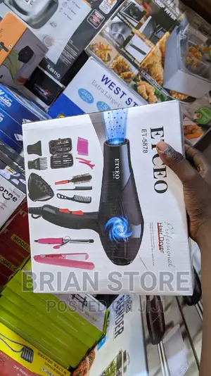 Professional Hair Dryer