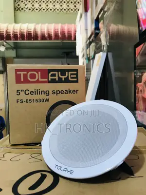 5”Celling Speaker