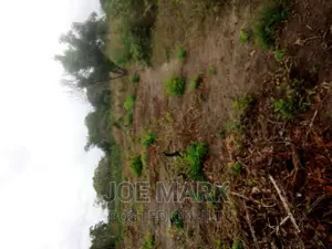 6 Acres for Sale Kibaha