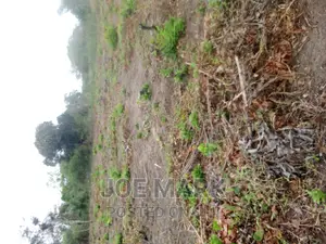 6 Acres for Sale Kibaha