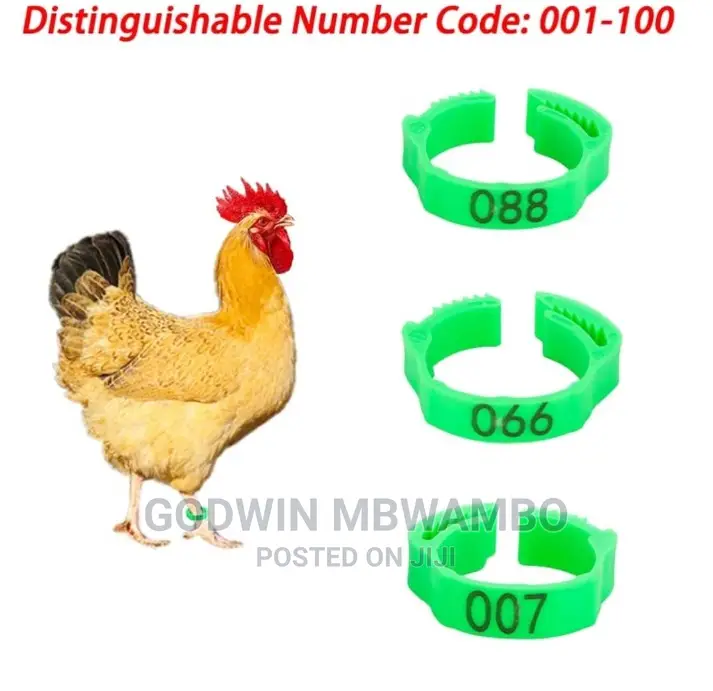 Bangili Za Kuku (Chicken Foot Tag)