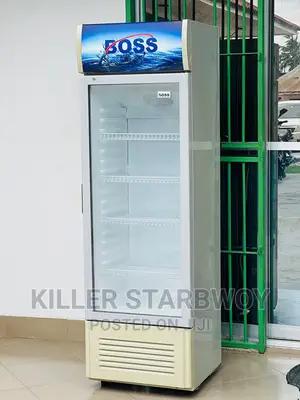 Display Fridge Boss Lita 200