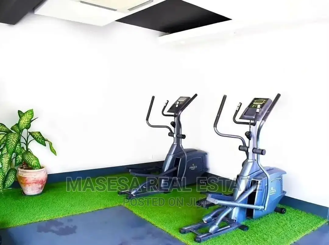 Furnished 2bdrm Apartment in Masaki for rent