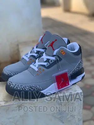 JORDAN Sneakers (Gray)