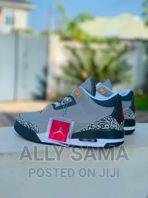 JORDAN Sneakers (Gray)