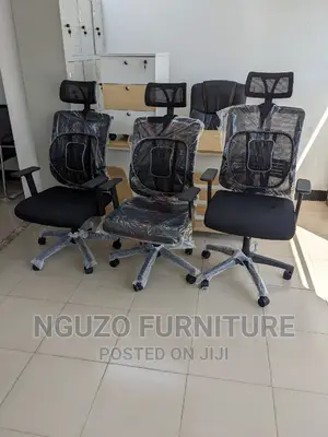 Ergonomic Chair