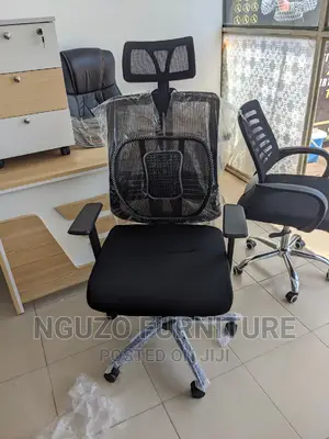 Ergonomic Chair