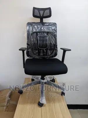 Ergonomic Chair