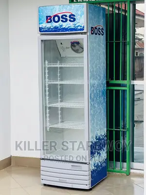 Display Fridge Lita 320