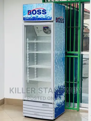 Display Fridge Lita 320