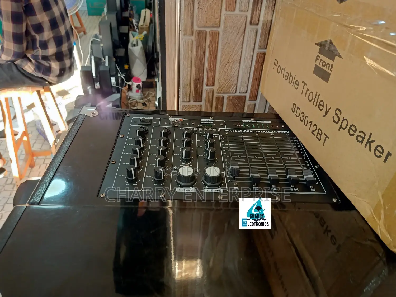 Richsound Powerful Speaker Inch 15",+ 2 Wireless Mic Rs109