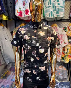 Men's Shirts