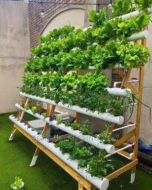 NFT Hydroponic System
