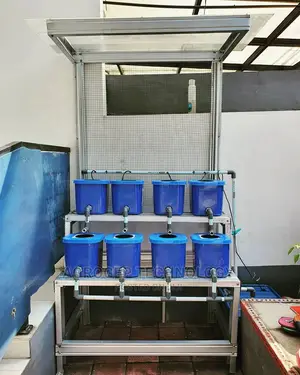 NFT Hydroponic System