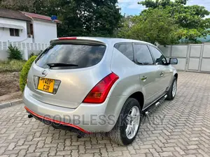 Nissan Murano 2004 Silver